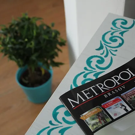 Apartman Studio Brassó